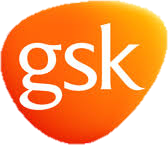 Multidomain Website GSK-Gebro